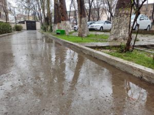 Дождливо и сыро: коротко о погоде на 29 марта