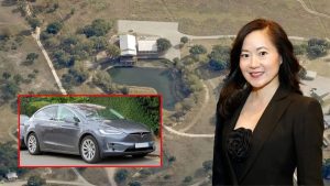 Электрокар Tesla стал причиной гибели миллиардерши Анджелы Чао